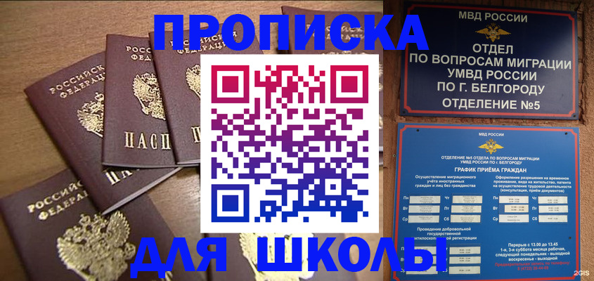 прописка гарантия в Моршанске